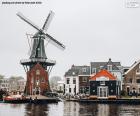 Adriaan Mill, Haarlem, Hollanda